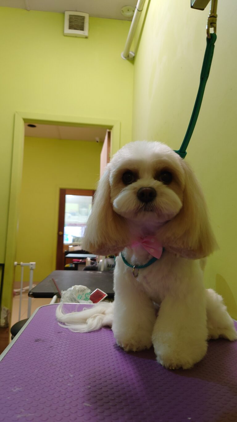 20230515_123115 - 謝涵涵