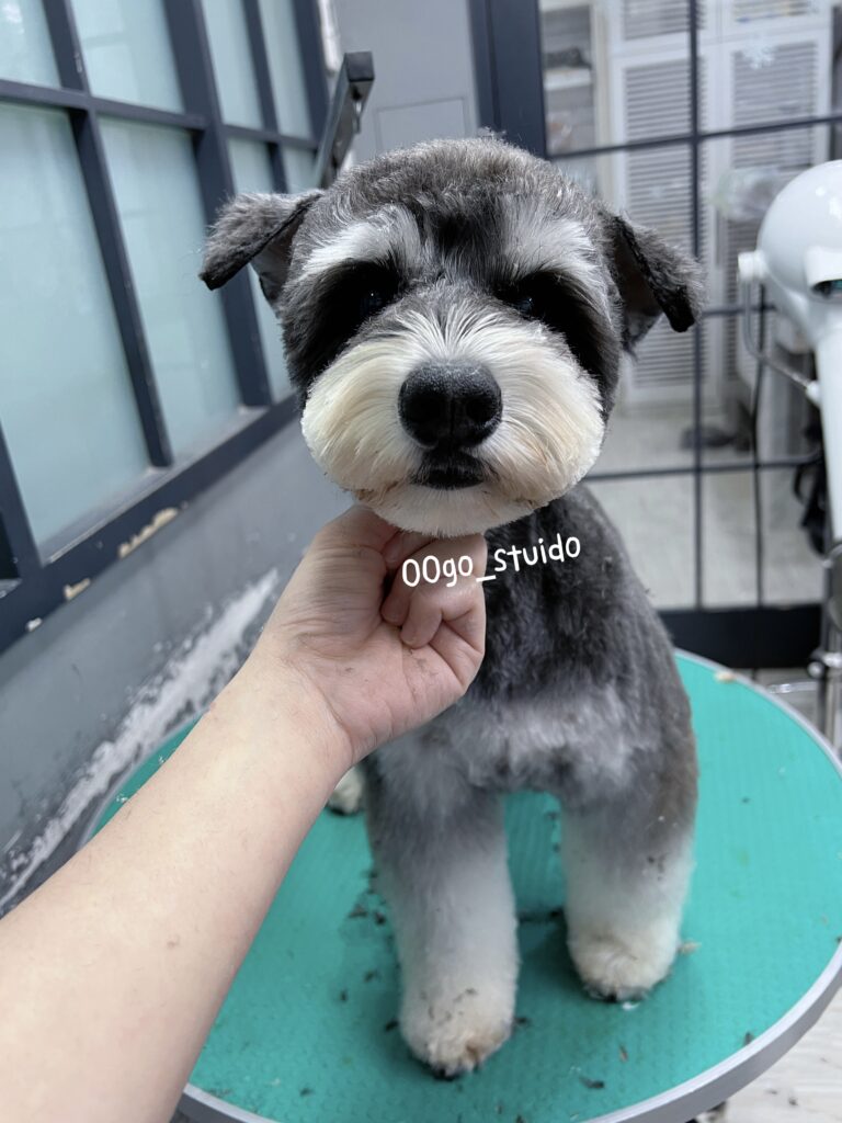 A6BDCFE9-EA5C-4339-875A-AEB3A1A0E638 - Lin Li