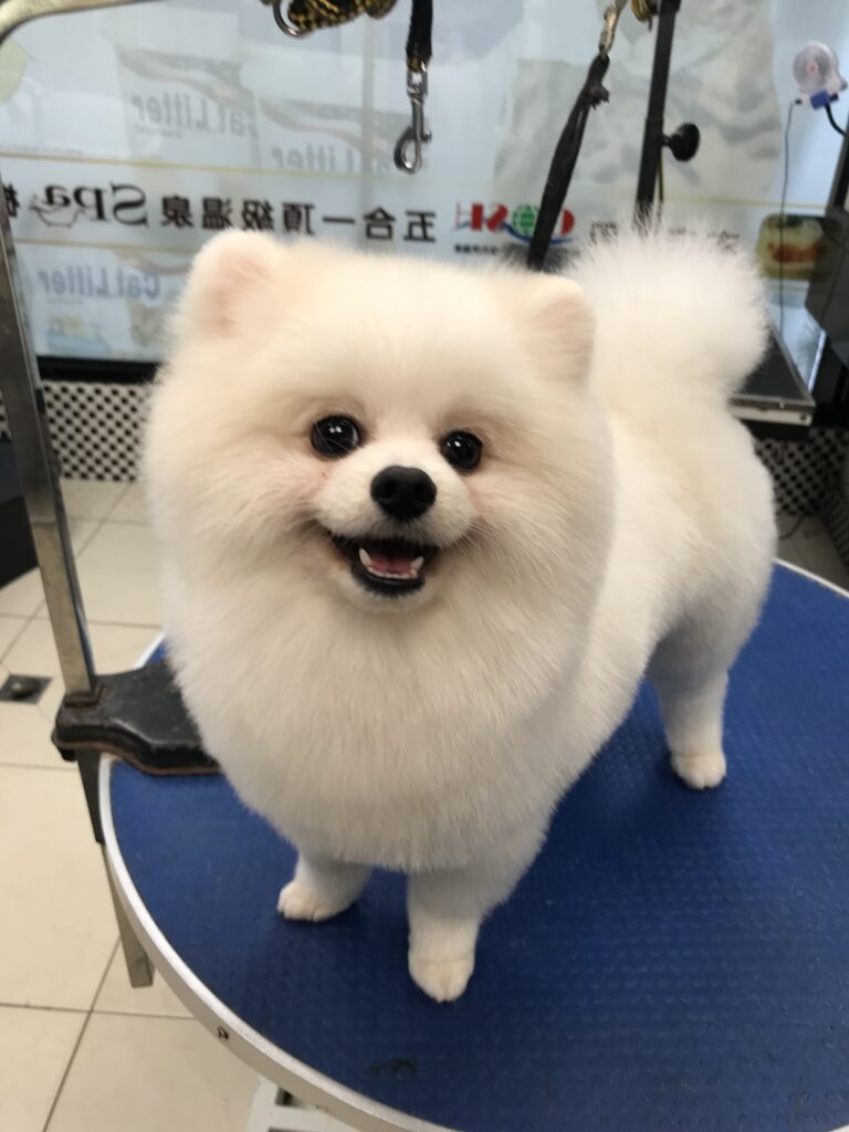 IMG_2204 - 黃嘉玲