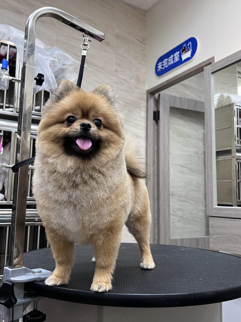 IMG_2926 - 鬼鬼