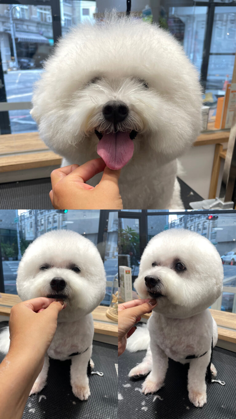 2 - 蘇品甄