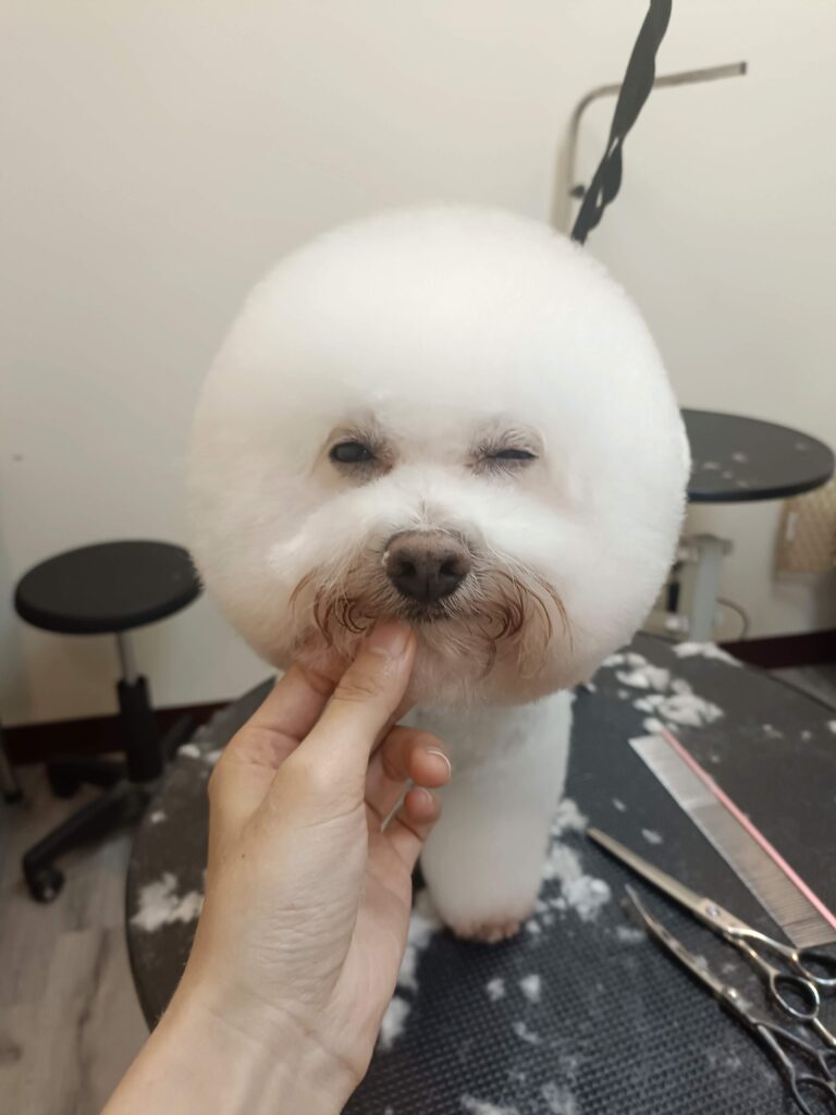 inbound7210963918892885398 - Renxuan Fan